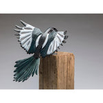 "Magpie: Banks"-Sandy Graves-Renee Taylor Gallery