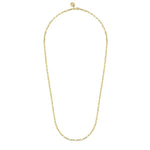 14K Yellow Gold Hollow Paper Clip Chain Necklace - NK6769H-Gabriel & Co.-Renee Taylor Gallery