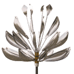 Agave - Stainless Steel-Lyman Whitaker-Renee Taylor Gallery