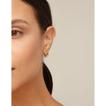 Details 18K Gold Plated Earrings - PEN0899NGRORO0U-UNO de 50-Renee Taylor Gallery