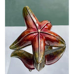 "Seastar"-Jason Napier-Renee Taylor Gallery