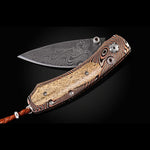 Kestrel Curio Limited Edition - B09 CURIO-William Henry-Renee Taylor Gallery