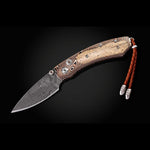 Kestrel Curio Limited Edition - B09 CURIO-William Henry-Renee Taylor Gallery