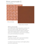 INVITATION CLUTCH - Pink Lemonade/Gold-Hammitt-Renee Taylor Gallery