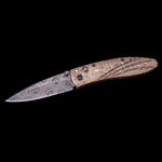 Monarch Verano Limited Edition - B05 VERANO-William Henry-Renee Taylor Gallery