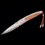 Lancet Stripe Limited Edition - B10 STRIPE-William Henry-Renee Taylor Gallery