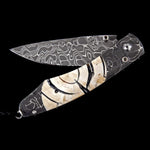 Spearpoint Adventure Limited Edition - B12 ADVENTURE-William Henry-Renee Taylor Gallery