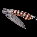 Spearpoint Forest Wolf Limited Edition - B12 FOREST WOLF-William Henry-Renee Taylor Gallery
