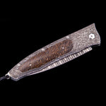 Gentac Extinction Limited Edition - B30 EXTINCTION-William Henry-Renee Taylor Gallery