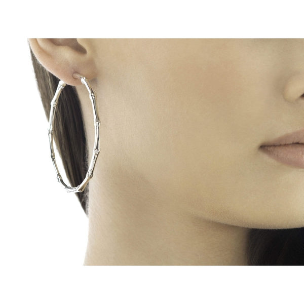 [COLD FRAME] ☆ / FREEFORM BAMBOO EARRING FREEFORM BAMBOO EARRING