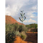 Desert Lily-Lyman Whitaker-Renee Taylor Gallery