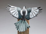 "Magpie: Banks"-Sandy Graves-Renee Taylor Gallery