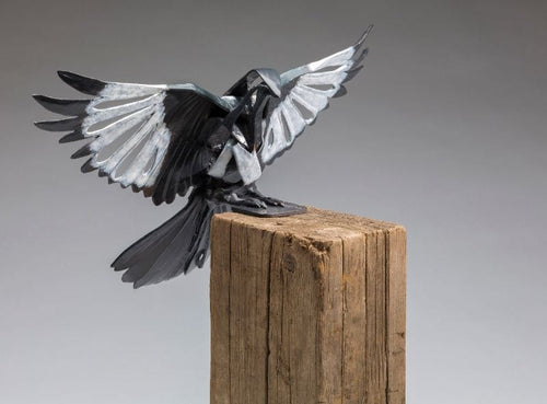 "Magpie: Banks"-Sandy Graves-Renee Taylor Gallery