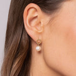 14K Yellow Gold Bujukan Pearl Drop Earrings - EG14524Y4JPL-Gabriel & Co.-Renee Taylor Gallery