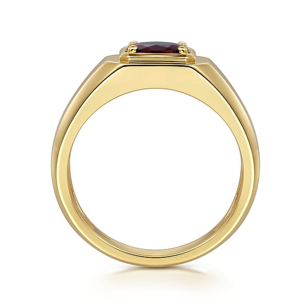 14K Yellow Gold Garnet Mens Ring in Sand Blast Finish - MR20066Y4JGN-Gabriel & Co.-Renee Taylor Gallery