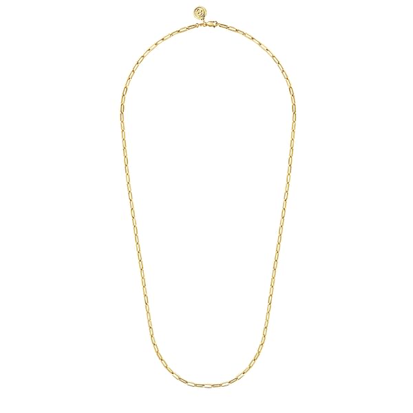 14K Yellow Gold Hollow Paper Clip Chain Necklace - NK6769H-Gabriel & Co.-Renee Taylor Gallery