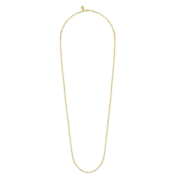 14K Yellow Gold Hollow Paper Clip Chain Necklace - NK6769H-Gabriel & Co.-Renee Taylor Gallery