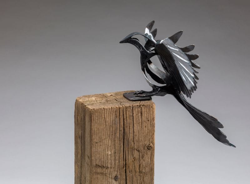 "Magpie: Banks"-Sandy Graves-Renee Taylor Gallery
