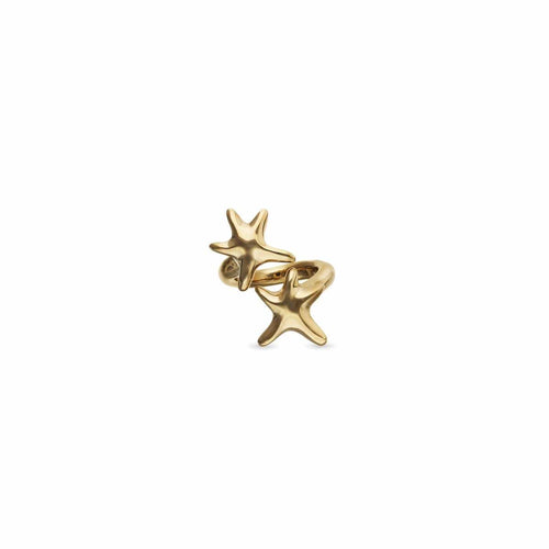 Starborn Ring - ANI0880ORO-UNO de 50-Renee Taylor Gallery