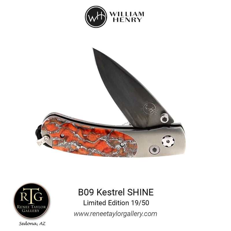 Kestrel Shine Limited Edition - B09 SHINE-William Henry-Renee Taylor Gallery