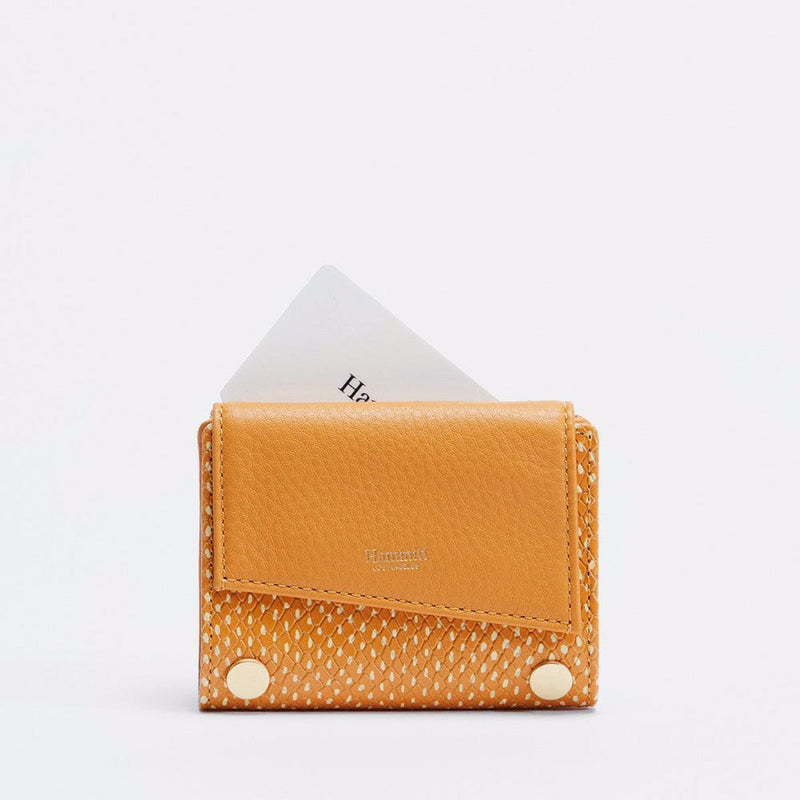 LEVY SML - Apricot Tan Snake/Brushed Gold-Hammitt-Renee Taylor Gallery
