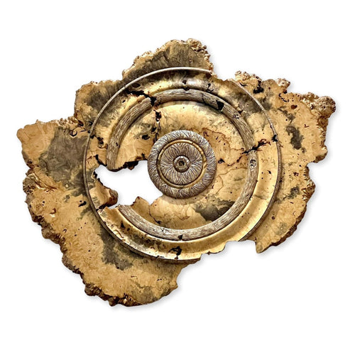 "Buckeye Burlwood"-Dave Barkby-Renee Taylor Gallery