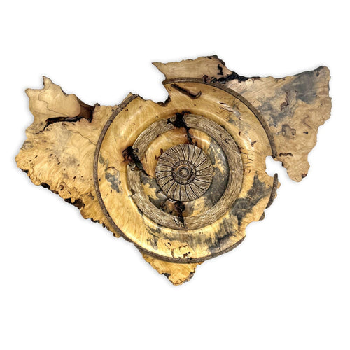 "Buckeye Burlwood"-Dave Barkby-Renee Taylor Gallery
