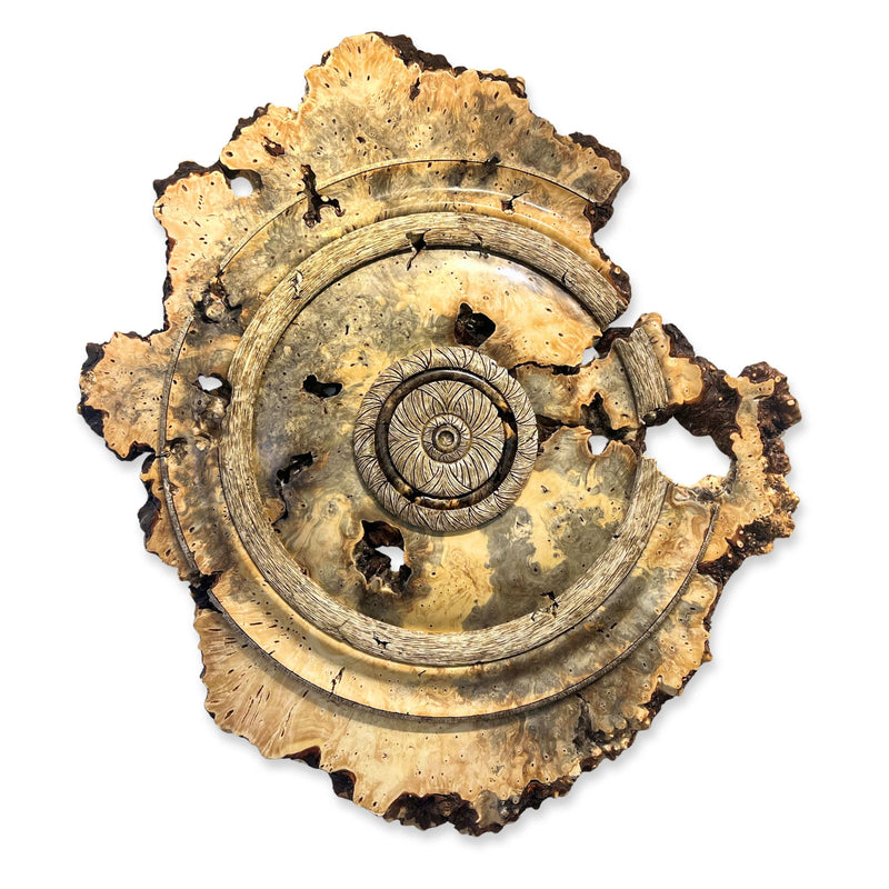 "Buckeye Burlwood"-Dave Barkby-Renee Taylor Gallery