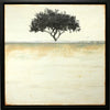 "Echo of the Earth"-Shari Lyon-Renee Taylor Gallery