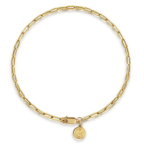 14K Yellow Gold Hollow Paperclip Chain Bracelet - TB4672Y4JJJ-Gabriel & Co.-Renee Taylor Gallery