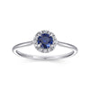 14K White Gold Blue Sapphire and Diamond Halo Promise Ring - LR51264W45SA-Gabriel & Co.-Renee Taylor Gallery