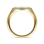 14K Yellow Gold Pinky Signet Ring with Diamond Halo - LR51521Y45JJ-Gabriel & Co.-Renee Taylor Gallery