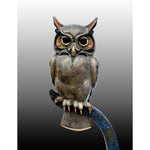 "Night Owl"-Jason Napier-Renee Taylor Gallery