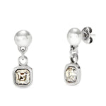 Sterling Silver Plated Earrings with Clear Hanging Crystal - PEN0998CRSMTL0U-UNO de 50-Renee Taylor Gallery