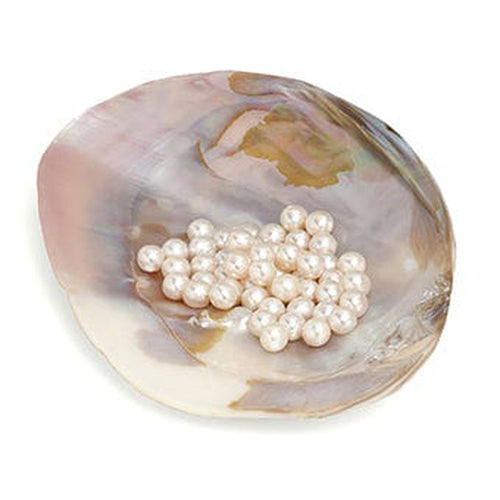 Lastela Freshwater Pearl Necklace - 85370656-Bernd Wolf-Renee Taylor Gallery