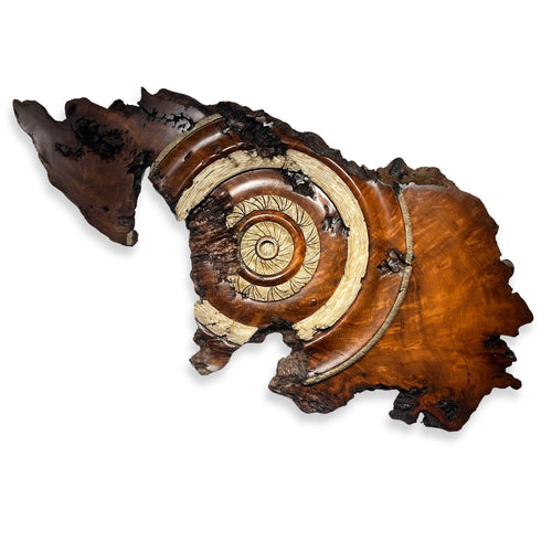 "Redwood Burlwood"-Dave Barkby-Renee Taylor Gallery