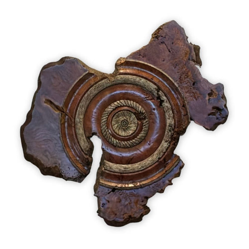 "Redwood Burlwood"-Dave Barkby-Renee Taylor Gallery