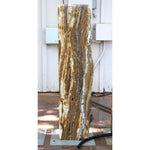 "Spruce"-Greg Robertson-Renee Taylor Gallery