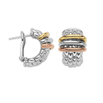 PANORAMA 18K White, Rose, Yellow Gold Earrings - 58904OX_XX-FOPE-Renee Taylor Gallery