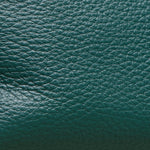 Evan Crossbody Handbag - Evan Crossbody Grove Green BG-Hammitt-Renee Taylor Gallery