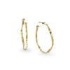 18K Marrakech Medium Hoop Earrings - OG256 Y-Marco Bicego-Renee Taylor Gallery