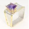 14K Gold & Crystalline Silver Amethyst Ring - 35954-Shelli Kahl-Renee Taylor Gallery