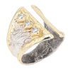 14K Gold & Crystalline Silver Diamond Ring - 37388-Shelli Kahl-Renee Taylor Gallery