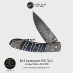 Spearpoint Arctic II Limited Edition - B12 ARCTIC II