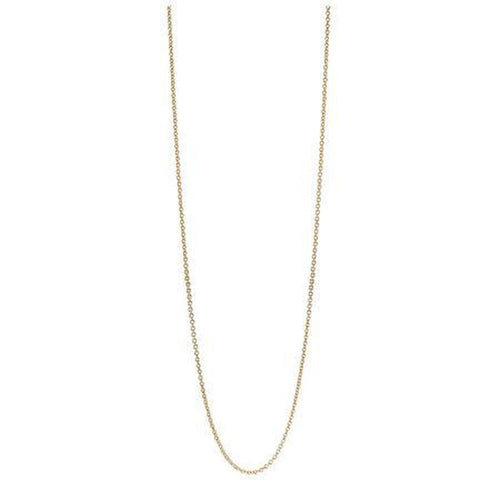 14K Gold Small Link Chain - 550110-60-Pandora-Renee Taylor Gallery