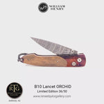 Lancet Orchid Limited Edition - B10 ORCHID