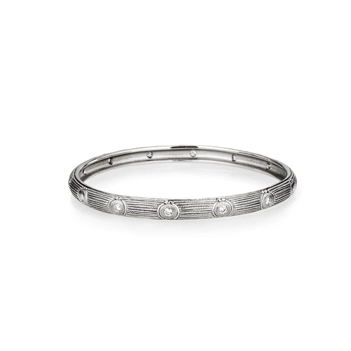 Platinum and Diamond Bangle Bracelet - B-11PD-Alex Sepkus-Renee Taylor Gallery