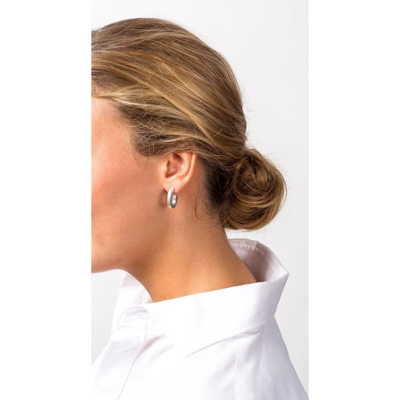 Sterling Silver Plated Earrings - E0032 MET00-CXC-Renee Taylor Gallery
