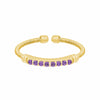 Gold Finish Sterling Silver Amethyst Birth Gems February Ring - LL7004R2-G-Kelly Waters-Renee Taylor Gallery