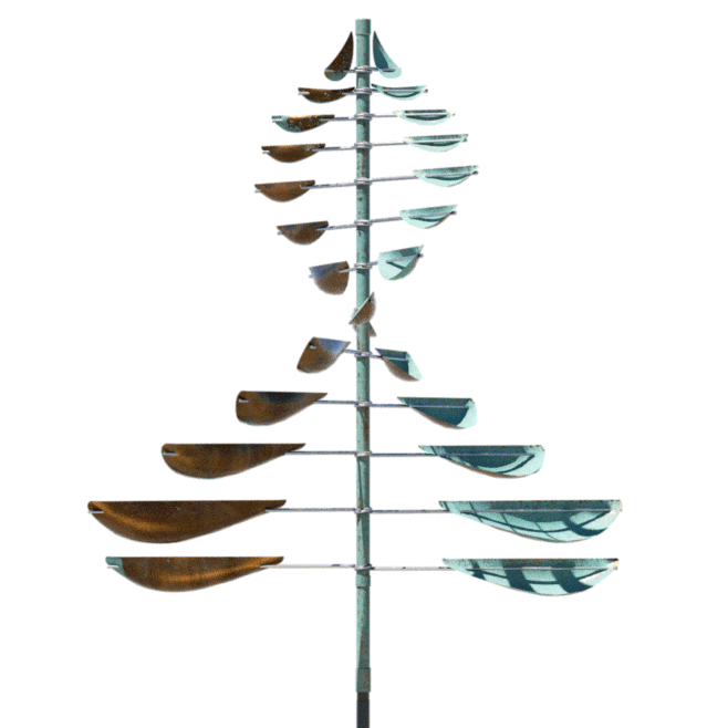 Sail-Lyman Whitaker-Renee Taylor Gallery